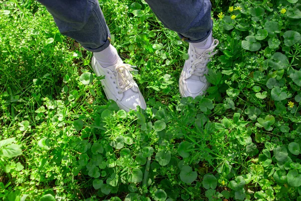 緑の芝生の上でジムの靴の脚 緑の芝生の上を歩く — ストック写真