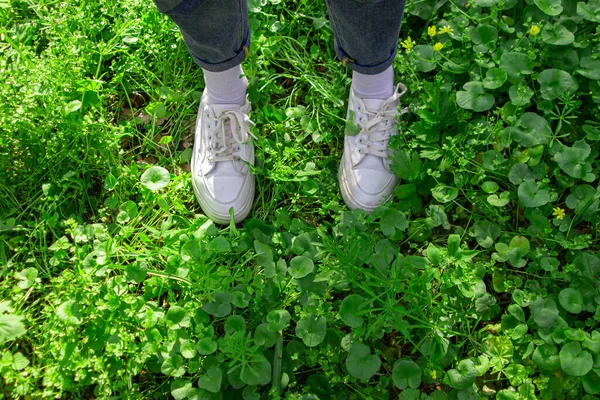 Πόδια Παπούτσια Γυμναστικής Πράσινο Γρασίδι Περπατώντας Στο Πράσινο Γρασίδι — Φωτογραφία Αρχείου