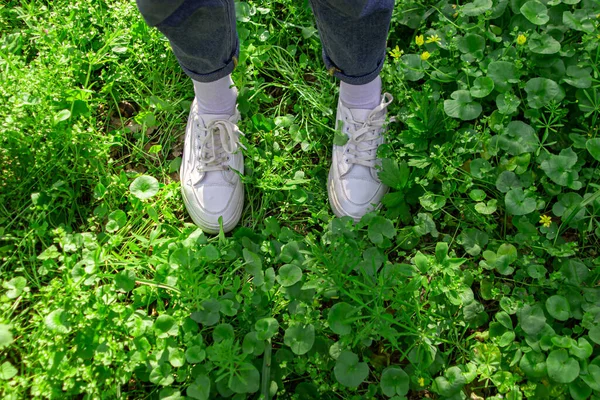 Πόδια Παπούτσια Γυμναστικής Πράσινο Γρασίδι Περπατώντας Στο Πράσινο Γρασίδι — Φωτογραφία Αρχείου