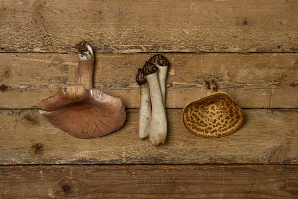 Cogumelos Florestais Fundo Madeira Cogumelos Comestíveis Cogumelos Diferentes Tipos — Fotografia de Stock