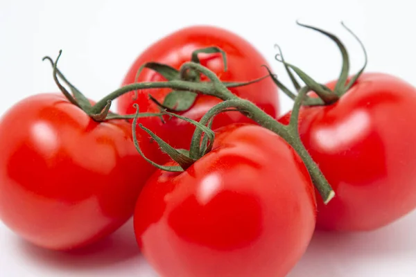 Tomates Uma Videira Fundo Branco Legumes Frescos Saudáveis Tomate Maduro — Fotografia de Stock