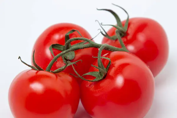 Tomates Uma Videira Fundo Branco Legumes Frescos Saudáveis Tomate Maduro — Fotografia de Stock