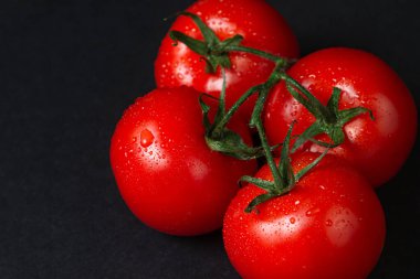Siyah arka planda domatesler. Karanlık bir arka planda, sarmaşık domatesleri. Olgun taze sebzeler.