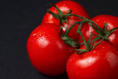 Siyah arka planda domatesler. Karanlık bir arka planda, sarmaşık domatesleri. Olgun taze sebzeler.