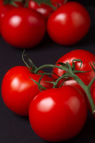 Tomates Fundo Preto Tomates Uma Videira Fundo Escuro Produtos Hortícolas — Fotografia de Stock