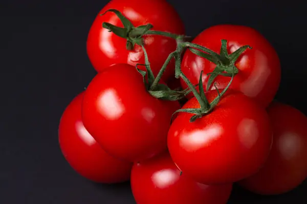 Tomates Fundo Preto Tomates Uma Videira Fundo Escuro Produtos Hortícolas — Fotografia de Stock