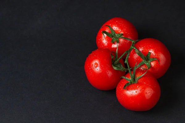 토마토는 바탕에 어두운 배경에 덩굴에는 토마토가 있습니다 야채를 삶는다 — 스톡 사진