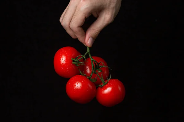 Pomodori Sfondo Nero Mano Tiene Pomodori Uno Sfondo Scuro Ortaggi — Foto Stock