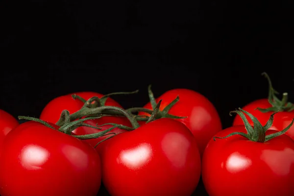 Tomates Fundo Preto Tomates Uma Videira Fundo Escuro Produtos Hortícolas — Fotografia de Stock