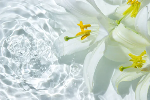 White lilies on the water surface. Circle ripples on water surface. Pure clear water