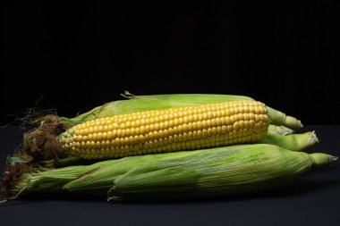Koyu bir arka planda mısır kulağı. Koçanda taze mısır. Sağlıklı yemek.