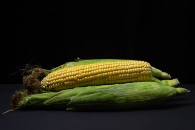 Koyu bir arka planda mısır kulağı. Koçanda taze mısır. Sağlıklı yemek.