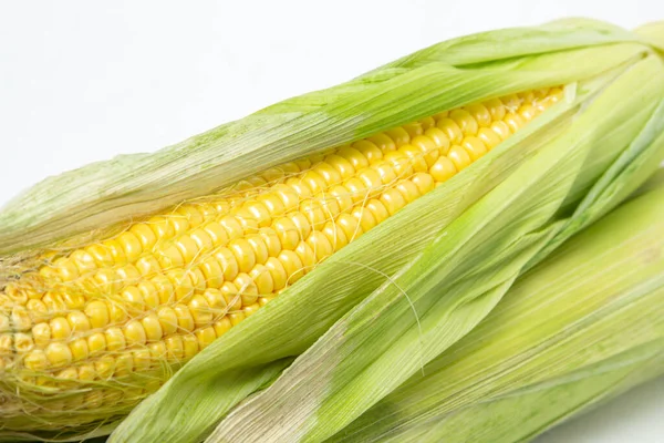 白色背景的玉米穗 玉米芯上有新鲜的玉米 健康食品 — 图库照片