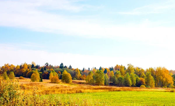 Höstlandskap Ryssland Gyllene Träd Skiner Ljust Grönt Gräs Mot Blå Stockfoto