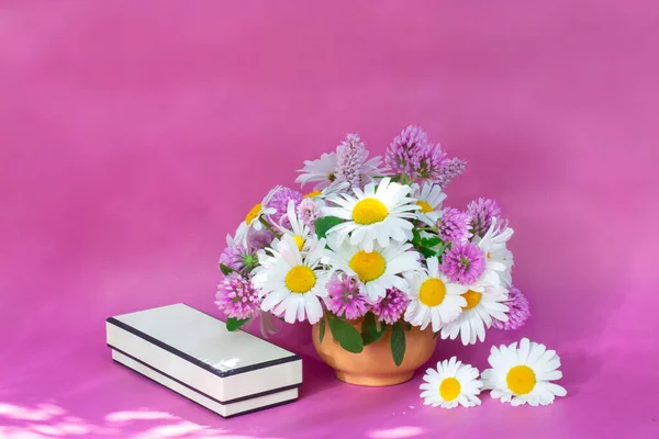 Bouquet Trèfle Camomille Dans Vase Sur Fond Clair Bouquet Été — Photo