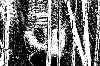 soyut siyah beyaz arkaplan