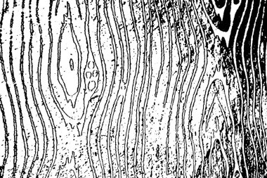 soyut siyah beyaz arkaplan