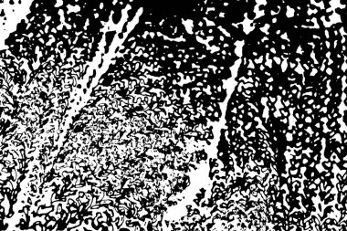 Soyut arkaplan. monokrom dokusu. resim siyah ve beyaz tonları içerir.