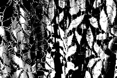 Soyut arkaplan. monokrom dokusu. resim siyah ve beyaz tonları içerir.