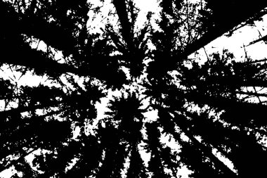 siyah ve beyaz desenli, soyut arkaplan