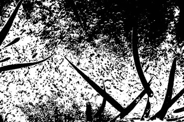 Çizik ve çatlaklarla dolu pis bir doku.