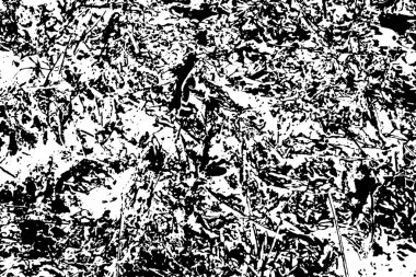 soyut siyah beyaz arkaplan