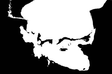 Siyah beyaz desenli, soyut arkaplan, kopyalama alanı