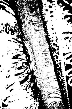 Soyut arkaplan. monokrom dokusu. resim siyah ve beyaz tonları içerir.