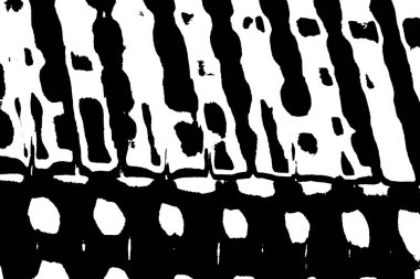 soyut yüzey, siyah beyaz grungy desenli arkaplan