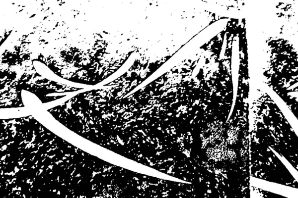 Abstrakcyjne Grunge Tło Kolorze Czarno Białym — Zdjęcie stockowe