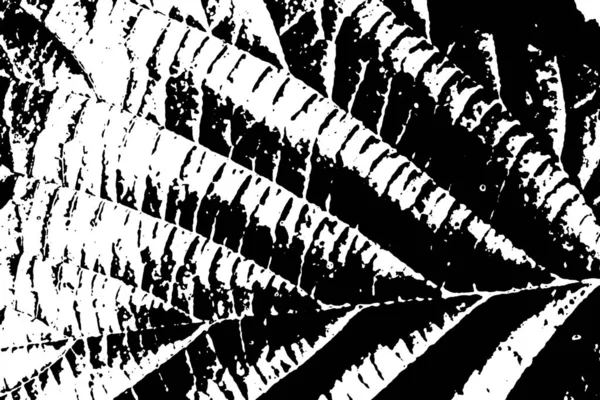 Abstract Patroon Grunge Achtergrond Kopieer Ruimte — Stockfoto