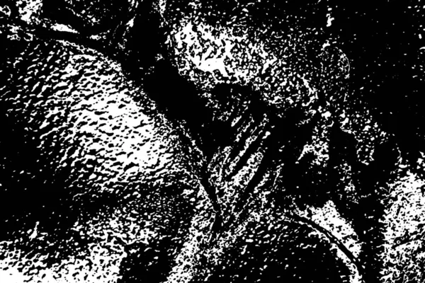 Абстрактний Чорно Білий Гранжевий Текстурований Фон — стокове фото