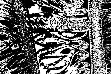 Soyut arkaplan. monokrom dokusu. resim siyah ve beyaz tonları içerir.