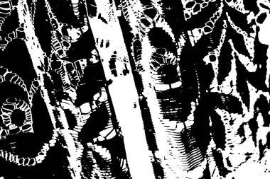 Soyut arkaplan. monokrom dokusu. resim siyah ve beyaz tonları içerir.