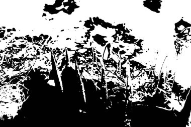 soyut kalıp, grunge arkaplan, kopyalama alanı