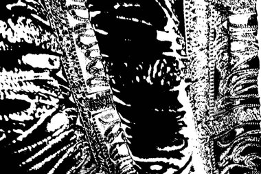 Soyut arkaplan. monokrom dokusu. resim siyah ve beyaz tonları içerir.