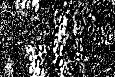 Soyut arkaplan. monokrom dokusu. resim siyah ve beyaz tonları içerir.