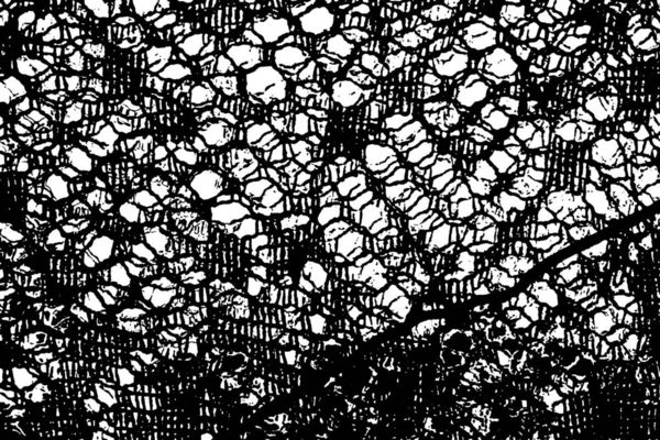 Абстрактна Поверхня Чорно Білий Гранжевий Текстурований Фон — стокове фото