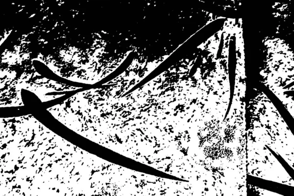 Абстрактный Гранж Фон Черно Белых Цветах — стоковое фото