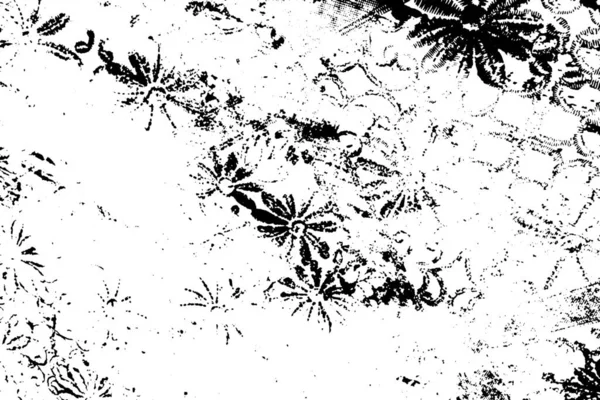 黒白のテクスチャパターン 抽象的な背景 — ストック写真