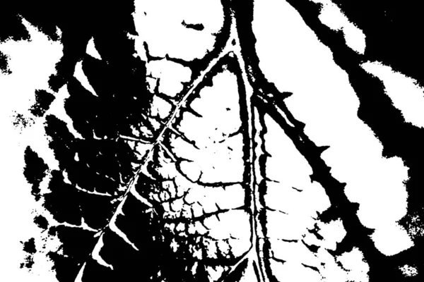 Abstract Background Monochrome Texture Image Including Effect Black White Tones — Stock Photo, Image