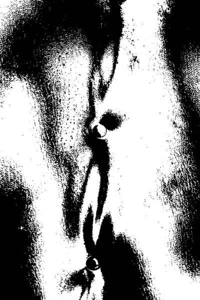 Monochromatyczne Grungy Teksturowane Tło — Zdjęcie stockowe