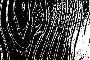 soyut siyah beyaz arkaplan