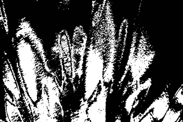 Абстрактный Монохромный Гранжевый Текстурированный Фон — стоковое фото