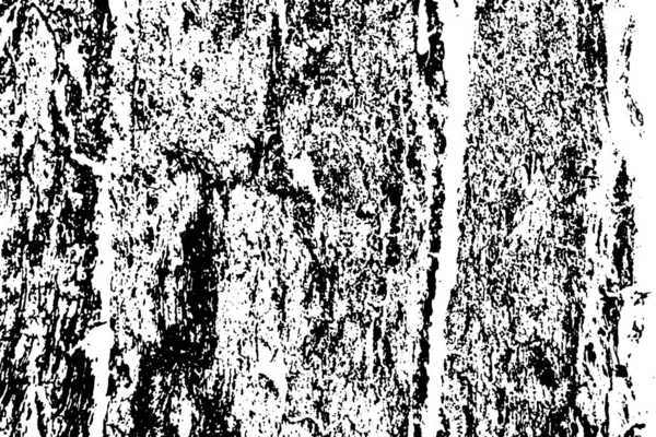 Monocrom Grungy Fundal Texturat — Fotografie, imagine de stoc