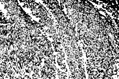 Soyut arkaplan. monokrom dokusu. resim siyah ve beyaz tonları içerir.