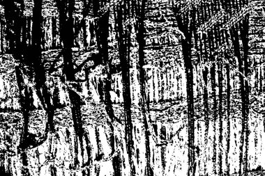 Siyah beyaz desenli, soyut arkaplan