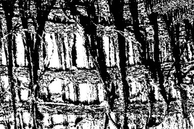 Siyah beyaz desenli, soyut arkaplan