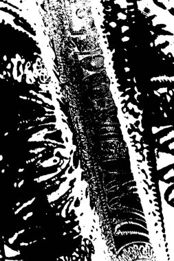 Soyut arkaplan. monokrom dokusu. resim siyah ve beyaz tonları içerir.