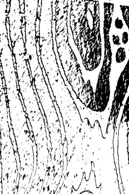 soyut siyah beyaz arkaplan